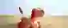 banner image Joueco