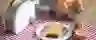 banner image Joueco