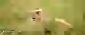 banner image Joueco