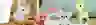 banner image Joueco