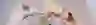 banner image Joueco