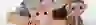 banner image Joueco