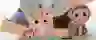 banner image Joueco
