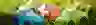 banner image Joueco