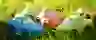 banner image Joueco