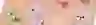banner image Joueco