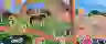 banner image Joueco